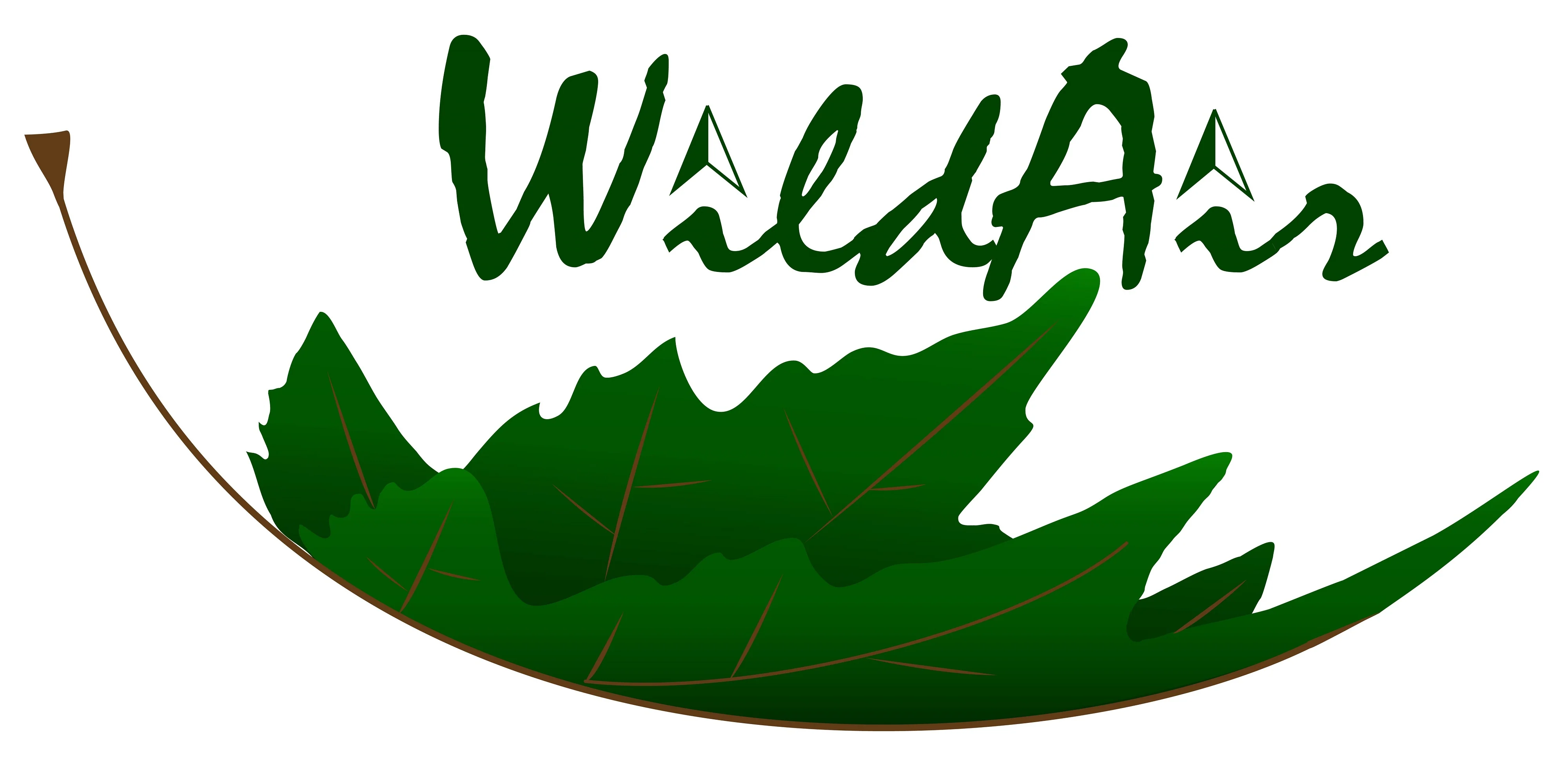 WildAir Home